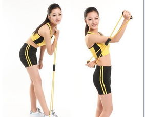 易威斯堡塑胸拉力器 價格、廠家與選購指南